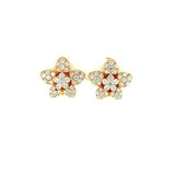 Diamond Earrings-Diamond Earrings -