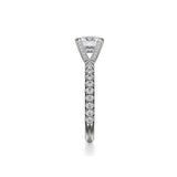 Michael M Diamond Mounting-Michael M Diamond Mounting -