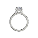 Michael M Diamond Mounting-Michael M Diamond Mounting -