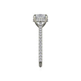 Michael M Diamond Mounting-Michael M Diamond Mounting -