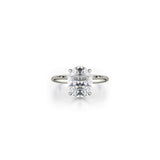 Michael M Diamond Mounting-Michael M Diamond Mounting -