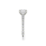 Michael M Diamond Mounting-Michael M Diamond Mounting -