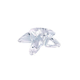 Swarovski Starfish Crystal-Swarovski Starfish Crystal -