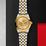 TUDOR Black Bay 39 S&G-TUDOR Black Bay 39 S&G Steel and Gold - M79663-0005